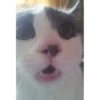 asdfg 23