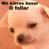 Me kieres besar
O follar