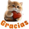 🐱Lindo michi🐱 18