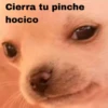 Cierra tu pinche
hocico