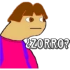 ¿ZORRO?