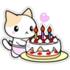 =cats=chatstick 26