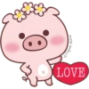 Un cerdito bonito 26