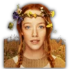 ANNE 24