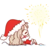 Little SANTA 24