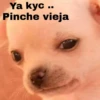 Ya kyc ..
Pinche vieja