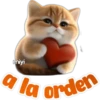 🐱Lindo michi🐱 19