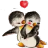 pingüinos De Amor 25