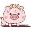 Un cerdito bonito 27
