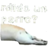 rdido un
herre?