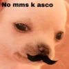 No mms k asco
