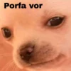 Porfa vor