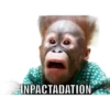 INPACTADATION