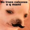 No traes calzones
o q mami