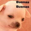 Buenas
Buenas