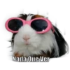 Nada Que Ver