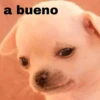 a bueno
