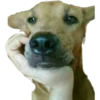 Animaizinhos dogs 27
