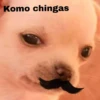 Komo chingas