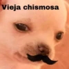 Vieja chismosa