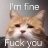 I'm fine Fuck you