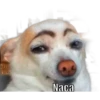 Naca