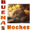 🐱Lindo michi🐱 23
