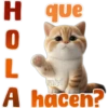 🐱Lindo michi🐱 24