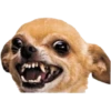 Animaizinhos dogs 29