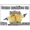 Como maldice un
pollo a
Otro...caldito seas