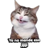 Variados 6