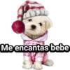 Cachorros tiernos 5