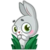 Bunyboo 6