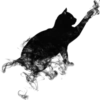 Dark Halloween 8