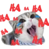Riririririiiiiimicccs 5