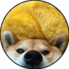 Perrito 5