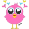 Colorful  Chick 7