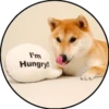 Perrito 6