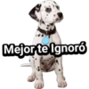 Cachorros tiernos 9