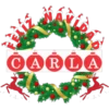 NombresNavideños 2 7