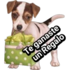 Cachorros tiernos 10