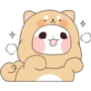 PANDITA 8