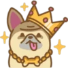 Perritos Bonitos 5