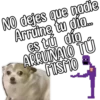 🔥Para toda la ocasión🔥♥️🇲🇽 10
