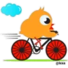 Colorful  Chick 13