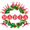NombresNavideños 2 9