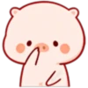 CERDITO bonito 5