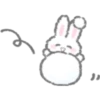Bunny Bunny 12