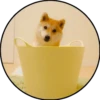 Perrito 8