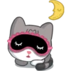 Meow the Tabby Cat 6